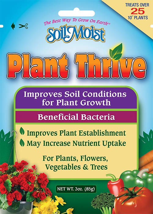 plant thrive